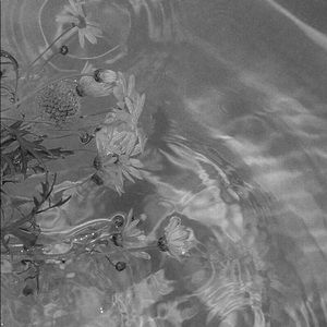 Meet your Posher, Gianna